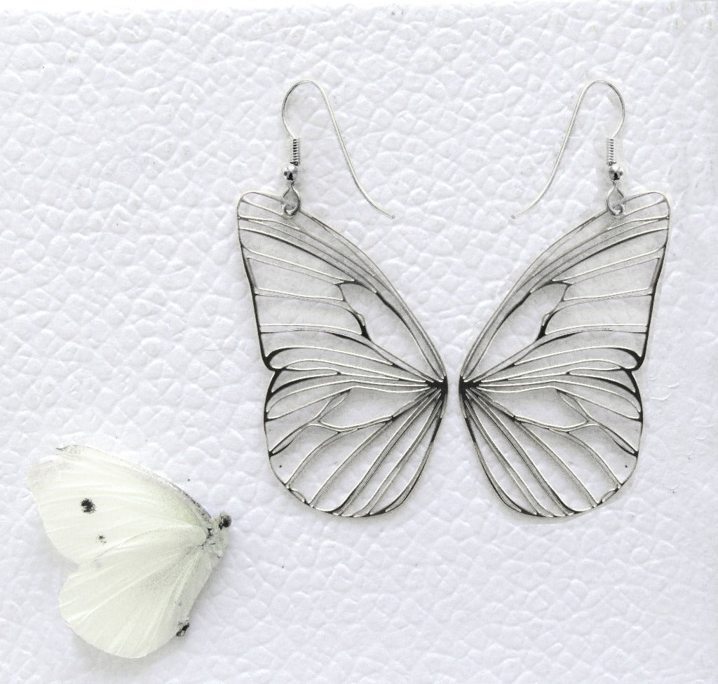 Rael Cohen Nature Inspired Butterfly Wing Earrings In Silver