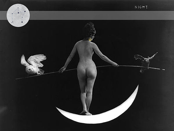 Black and white of nude woman on a crescent moon, the zodiac above her, an owl and raven next to her.