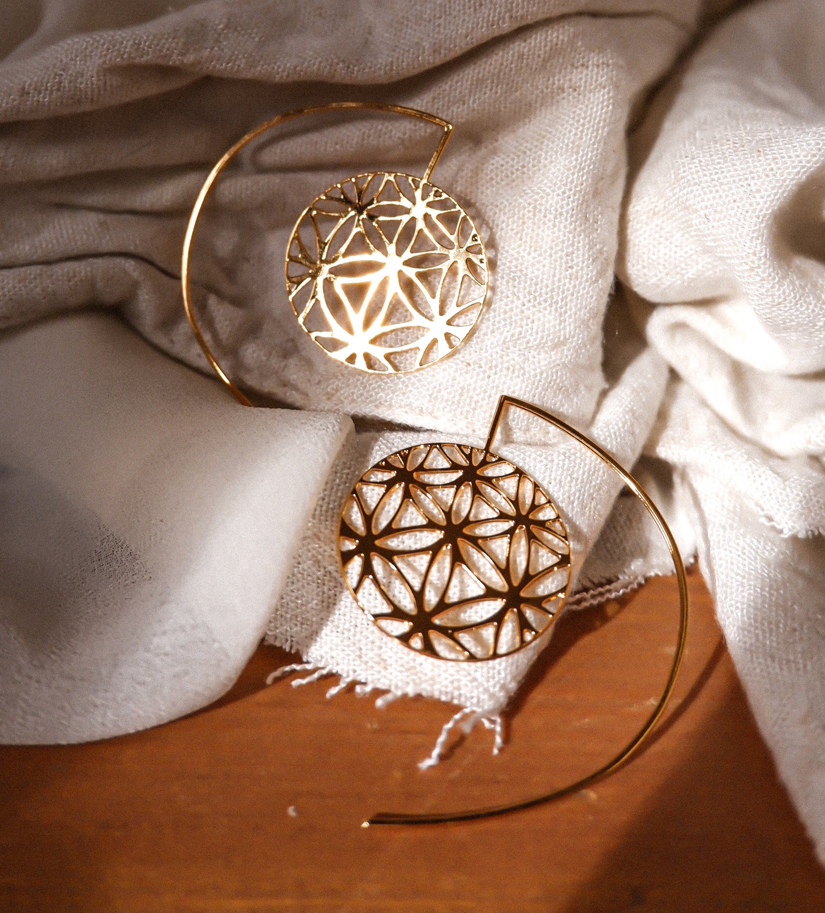 Rael Cohen Nature Inspired Flower Of Life Earrings In Gold