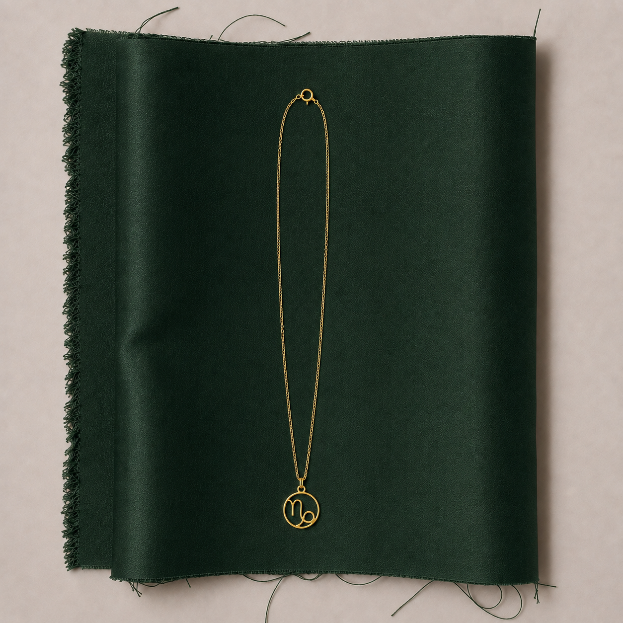 Capricorn Necklace - Zodiac Sign Necklace