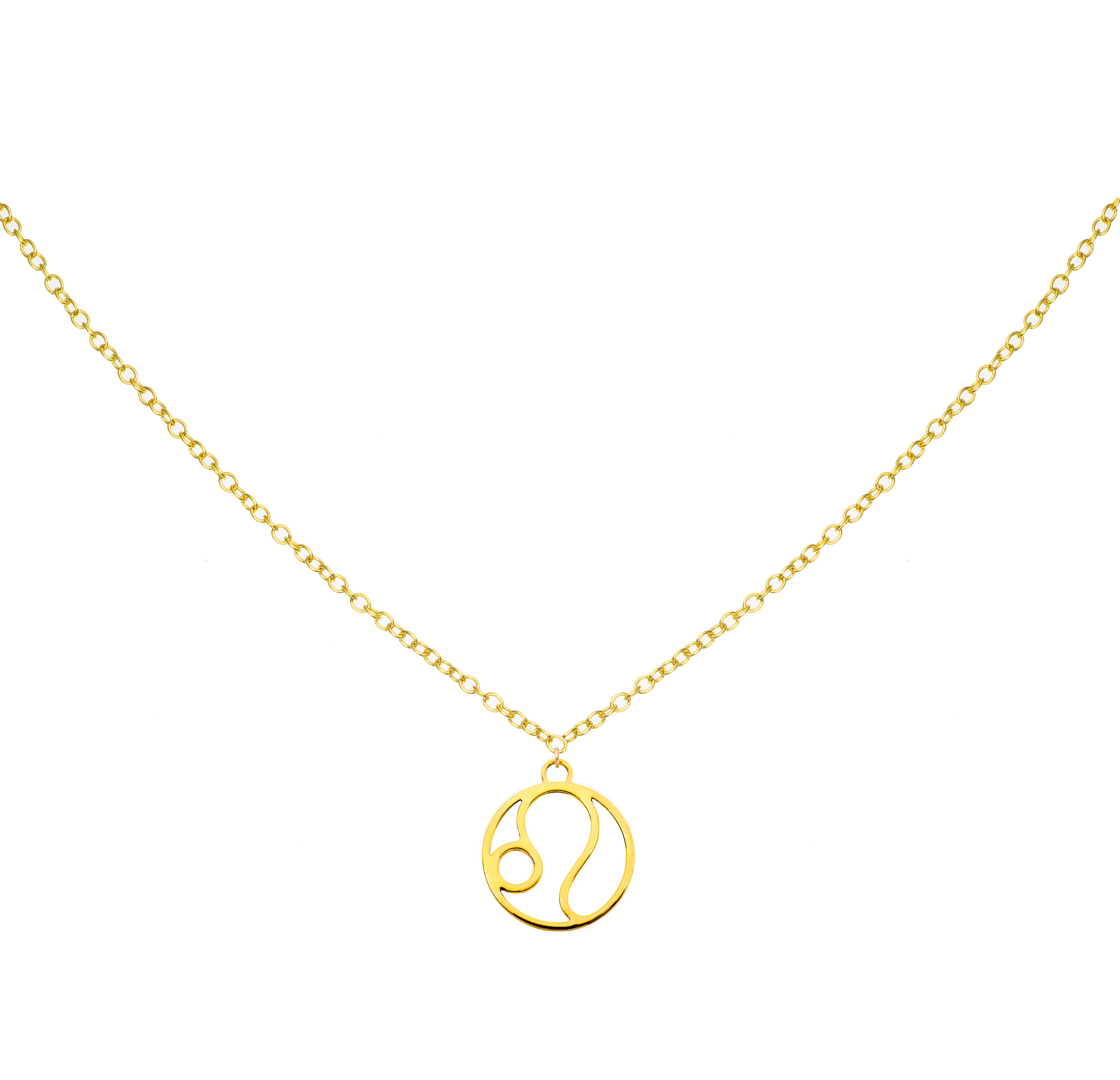 Leo Necklace - Zodiac Sign Necklace