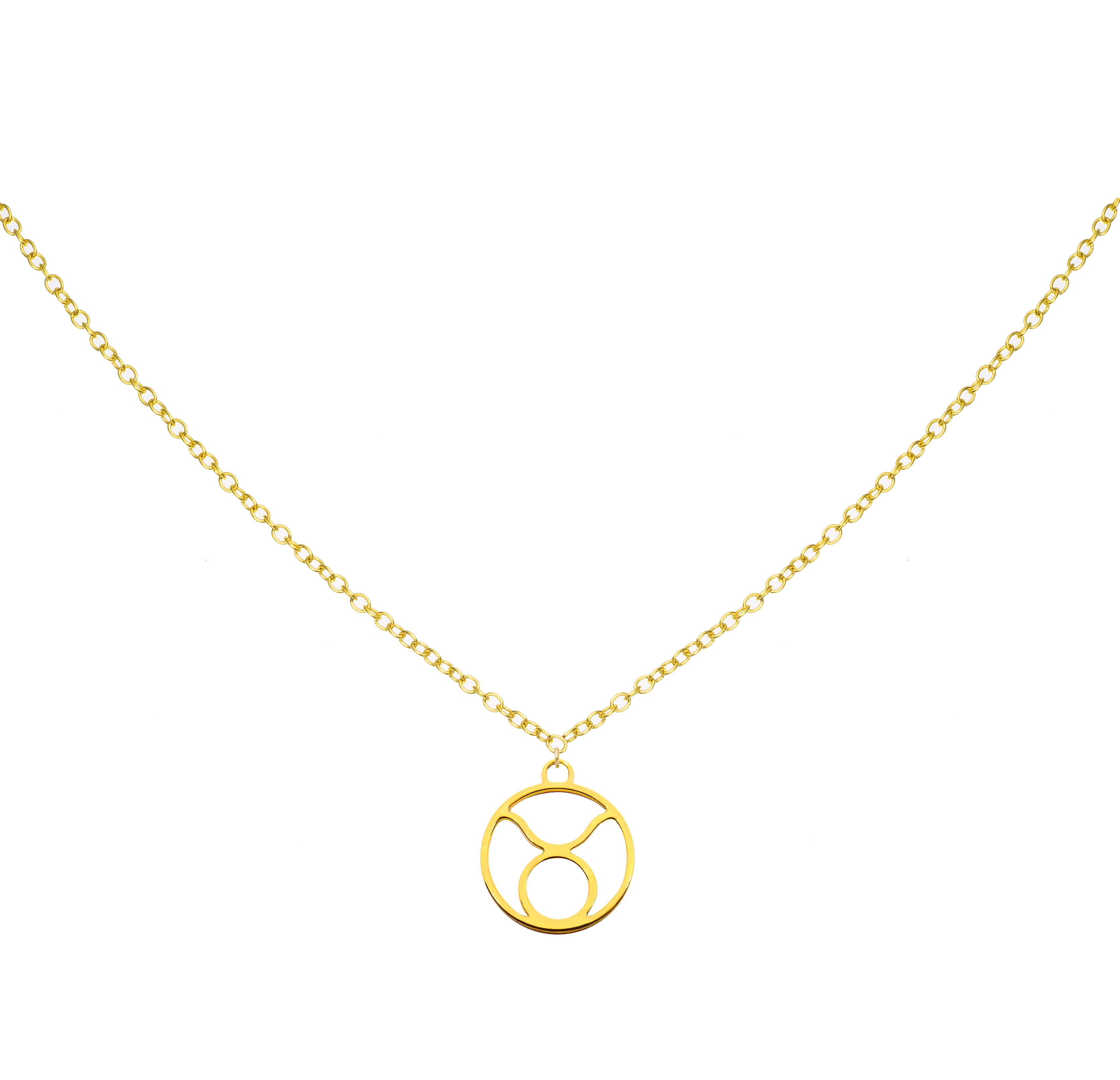 Taurus Necklace | Zodiac Sign Necklace